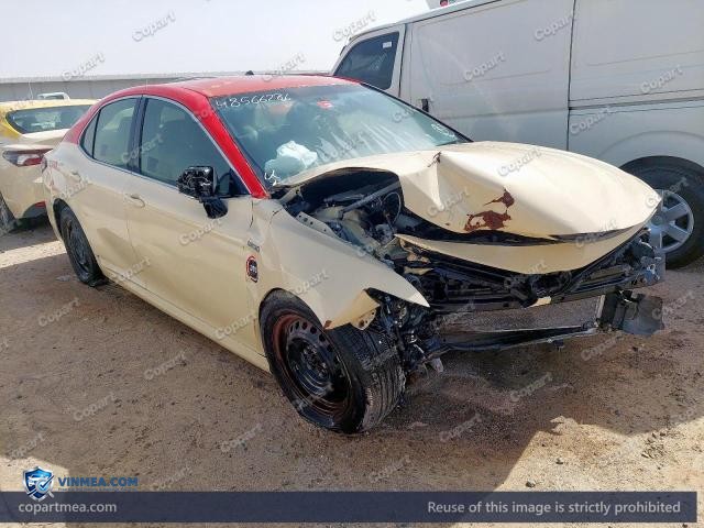 Auction photo
