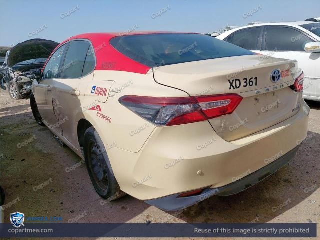 Auction photo