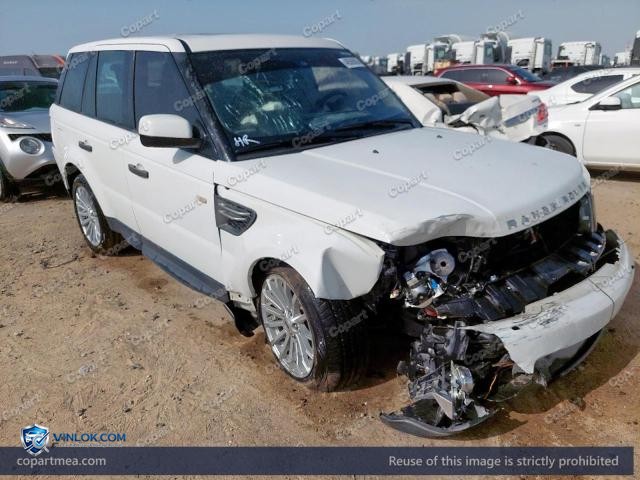 Auction photo