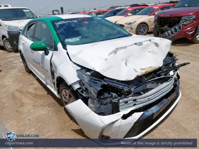Auction photo
