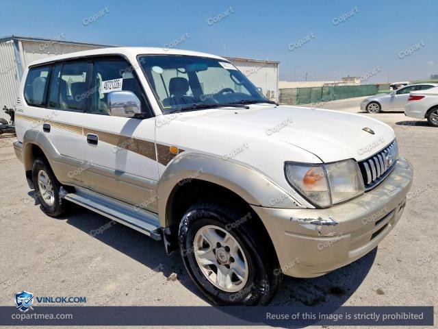 Auction photo