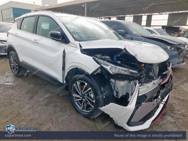 Auction photo