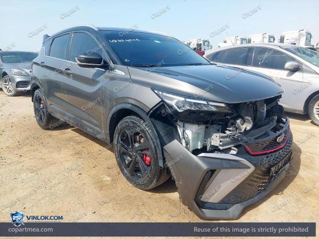 2025 GEEL COOLRAY — Lot 48724006 auction photo