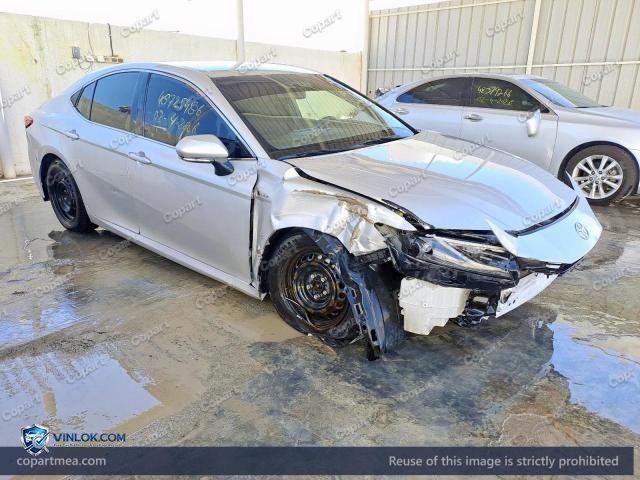 Auction photo