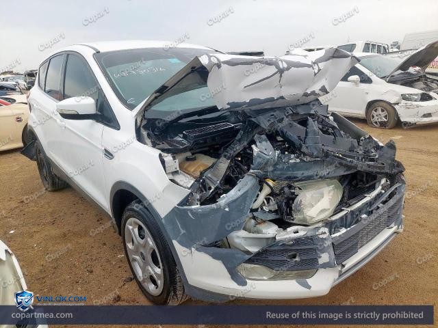 Auction photo