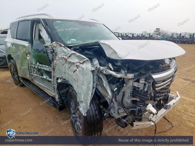 Auction photo