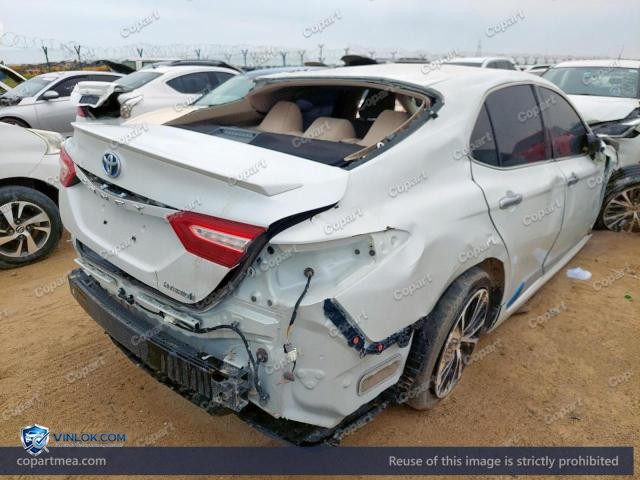 Auction photo