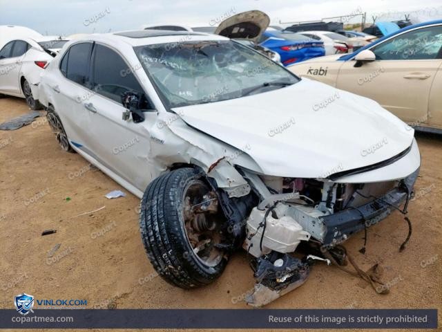 Auction photo
