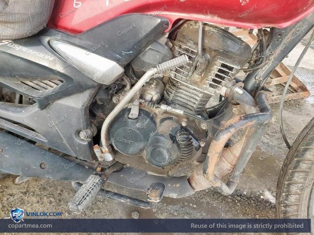 Auction photo
