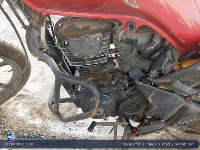 Auction photo