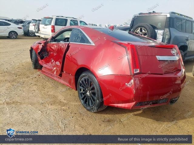 Auction photo