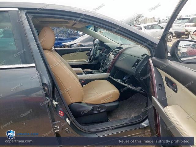 Auction photo