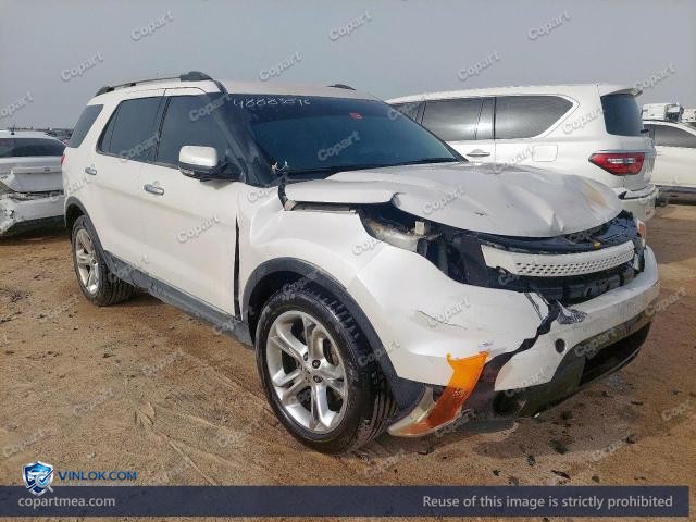 Auction photo