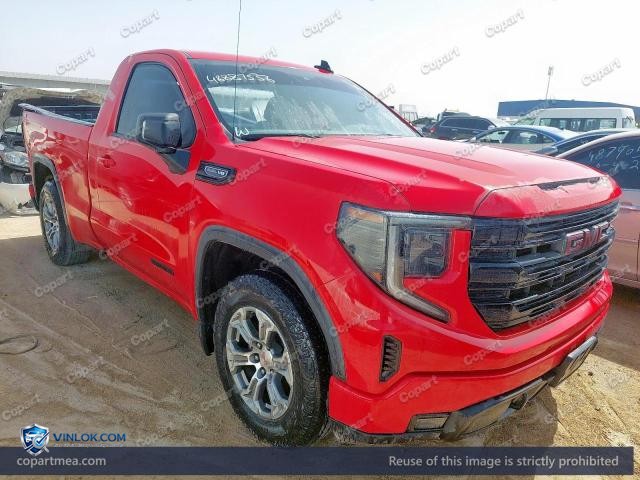 Auction photo