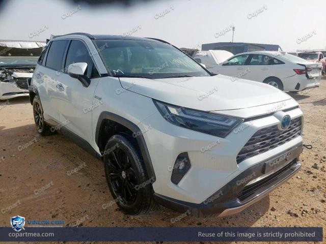 Auction photo