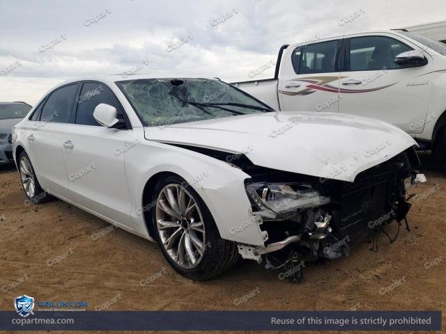 Auction photo