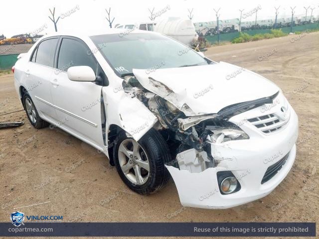 Auction photo