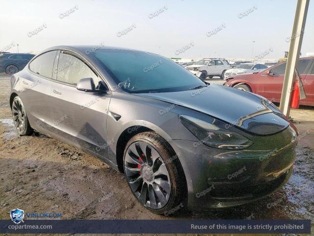 Auction photo