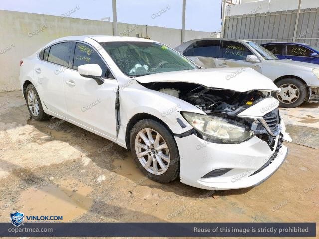 Auction photo
