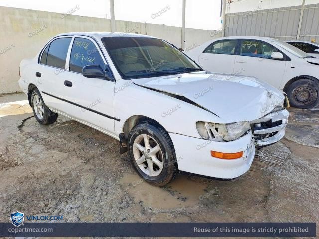 Auction photo