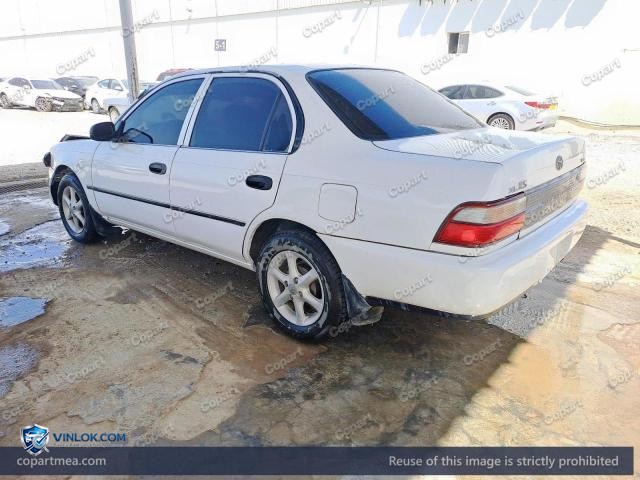 Auction photo