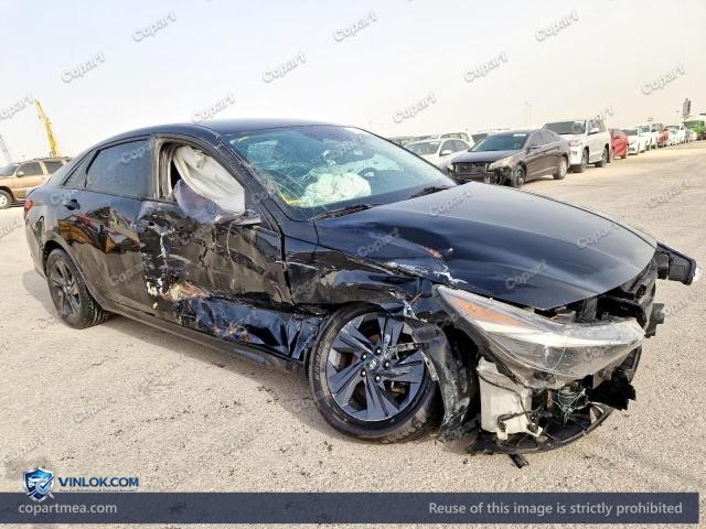 Auction photo