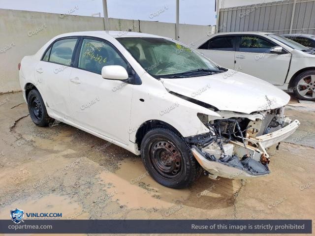 Auction photo