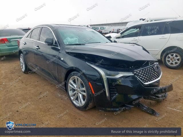 Auction photo