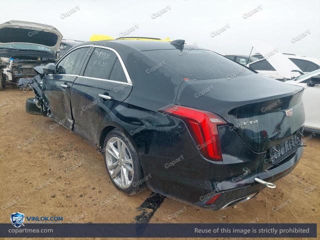 Auction photo