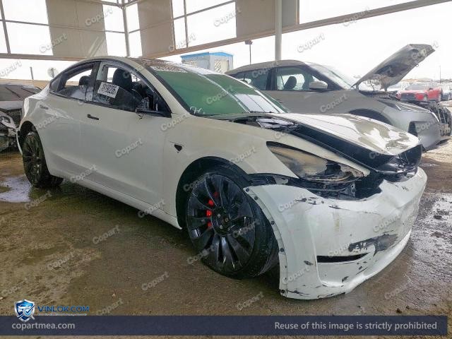 Auction photo