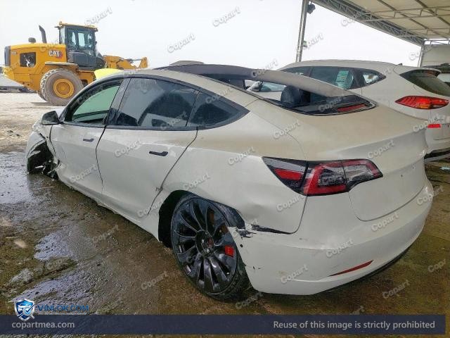 Auction photo