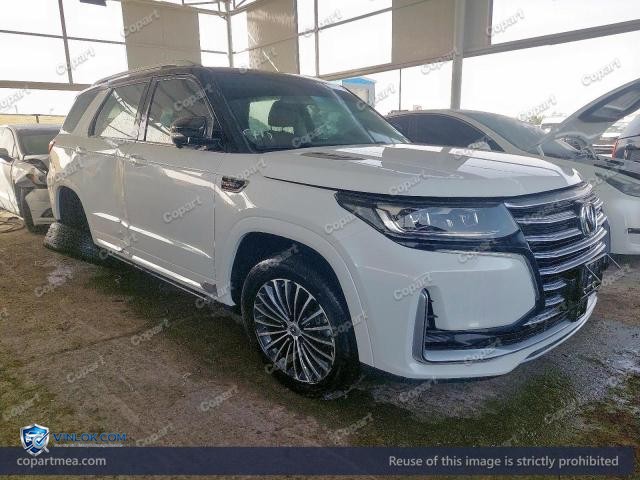 2023 CHAN CS95 — Lot 49190276 auction photo