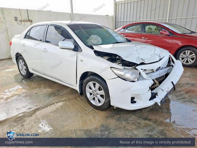 Auction photo