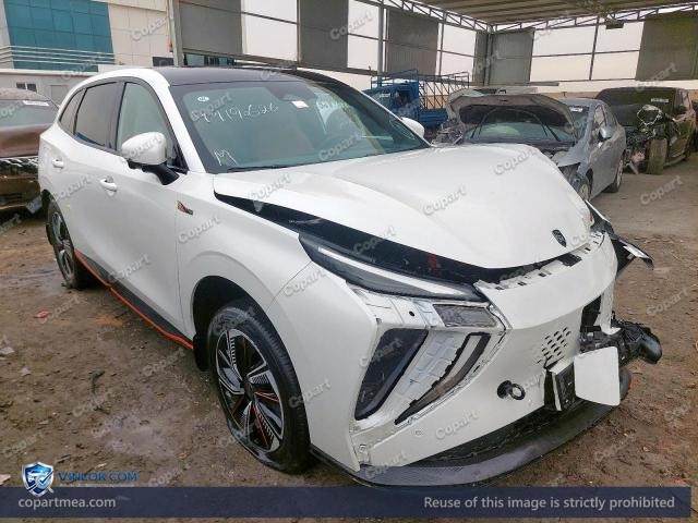 2024 DONG FORTHING — Lot 49190626 auction photo