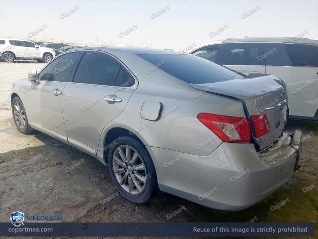 Auction photo