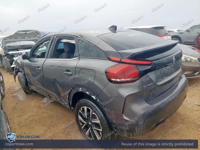 Auction photo