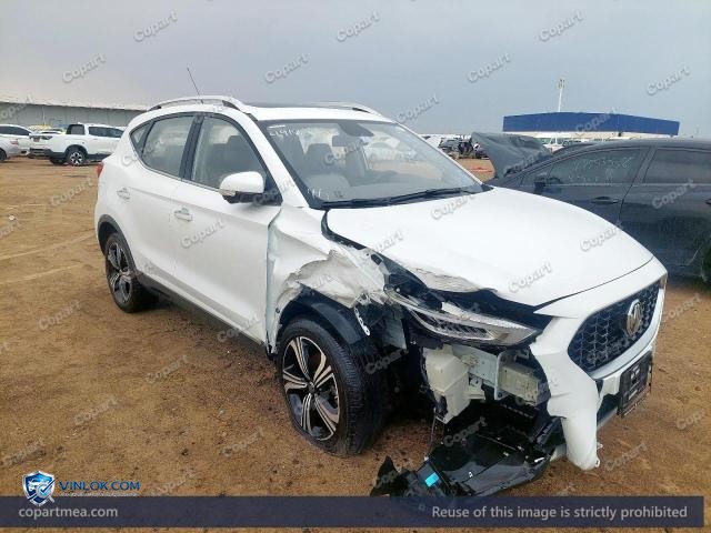 Auction photo