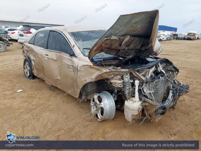Auction photo