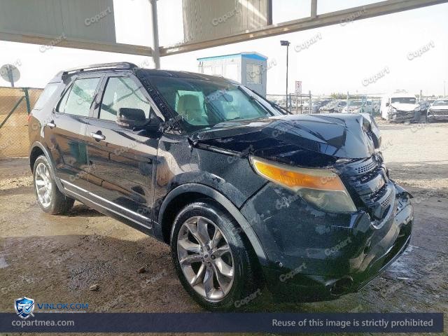 Auction photo