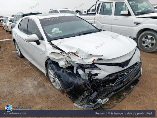 Auction photo