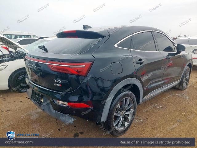 Auction photo