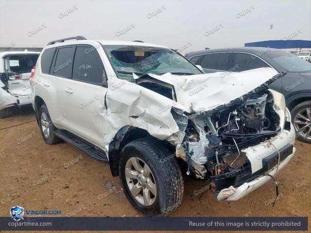 Auction photo