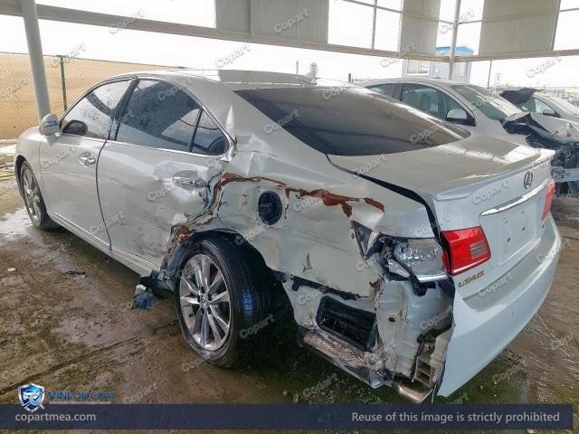 Auction photo