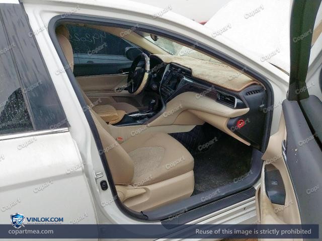 Auction photo