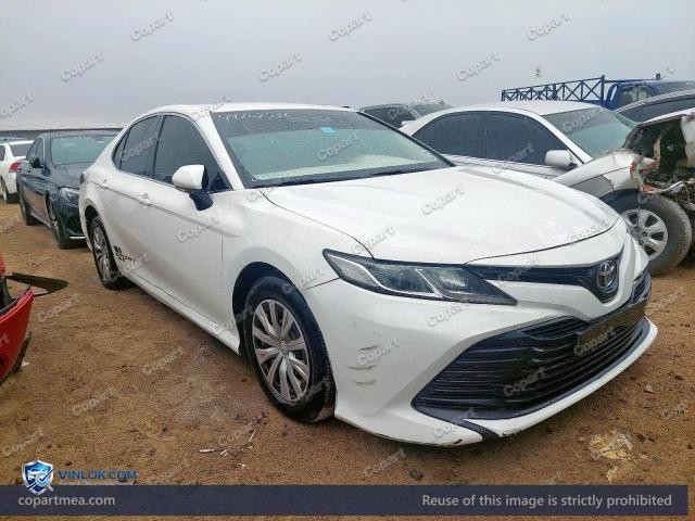 Auction photo