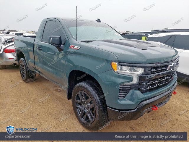 2025 CHEVROLET SILVARADO — Lot 49204316 auction photo
