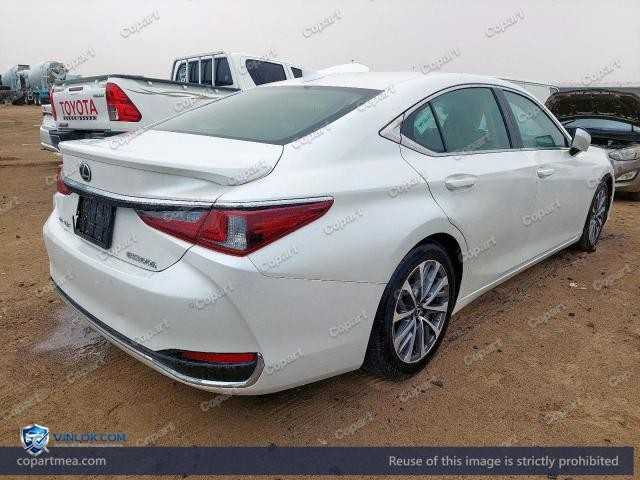 Auction photo