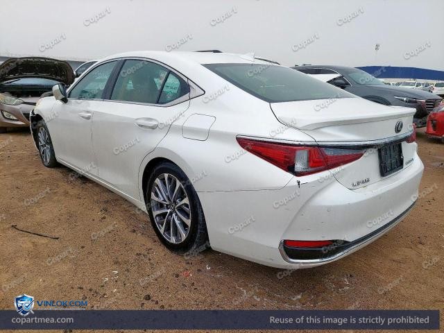 Auction photo