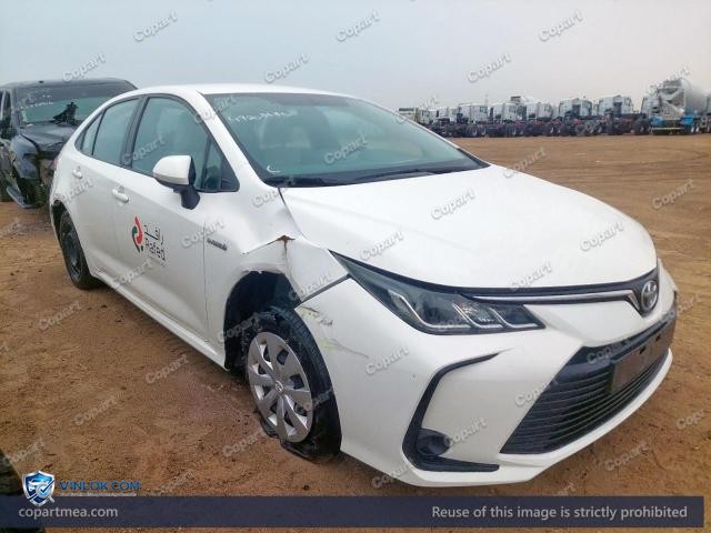 Auction photo