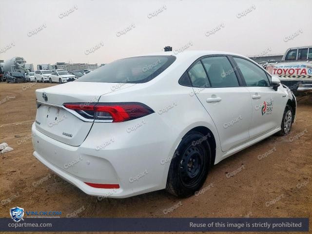 Auction photo